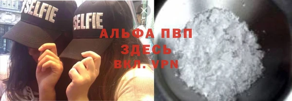 стафф Вяземский