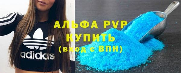 стафф Вяземский