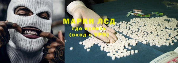 стафф Вяземский